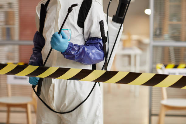Professional Odor Removal technician working in Central City, IA
